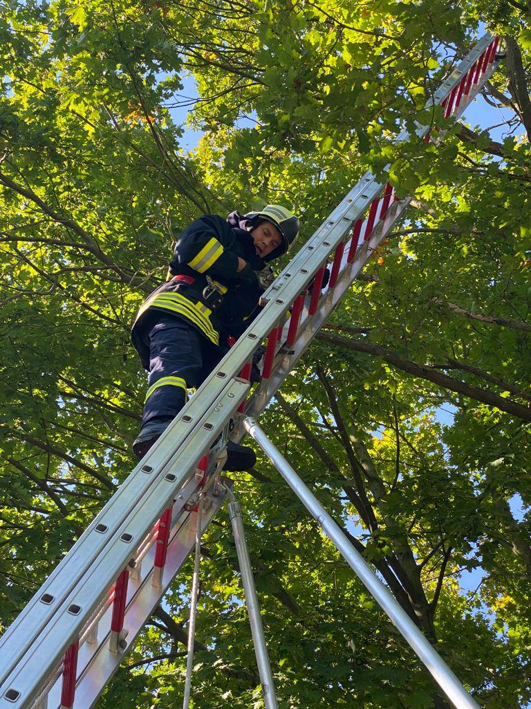 Technische Hilfeleistung Technische Hilfeleistung