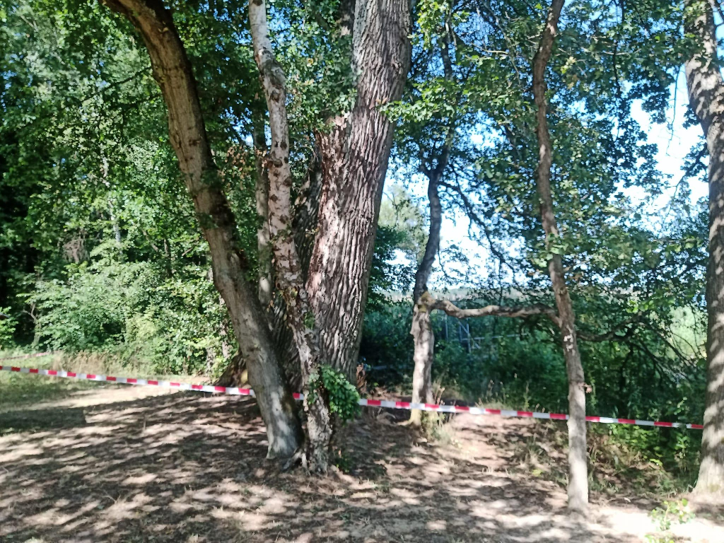 Hilfeleistung Hilfeleistung