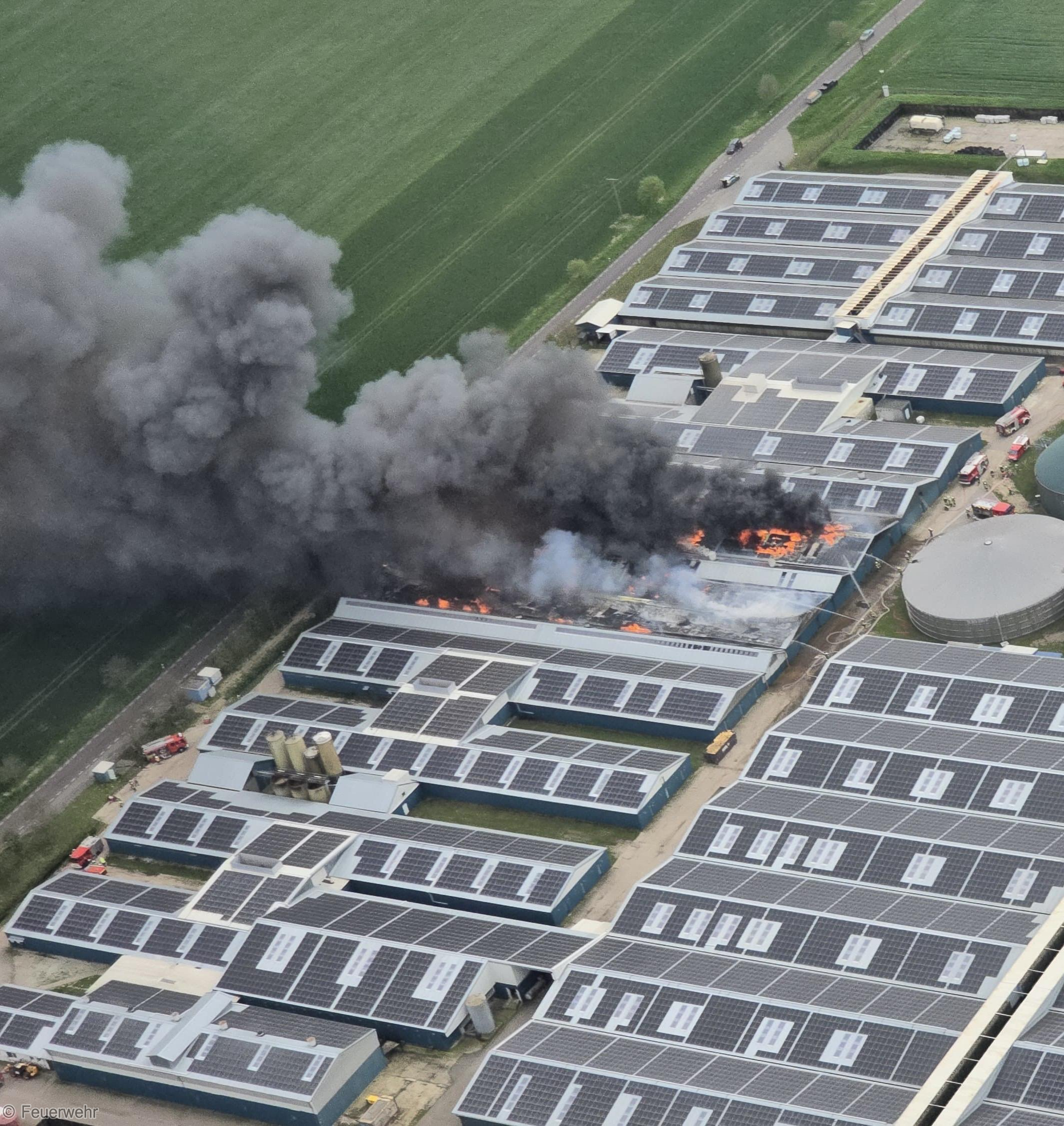 Einsatzfoto Brand B: Gebäudebrand - ...