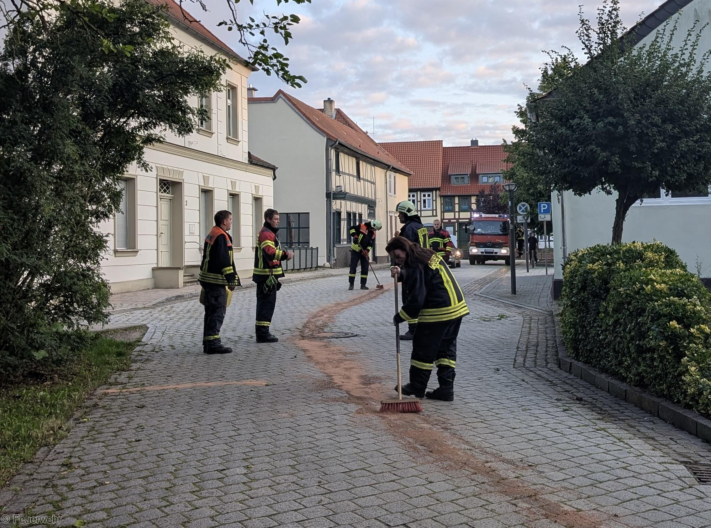 Einsatzfoto Hilfe A: Öl auf Straße
