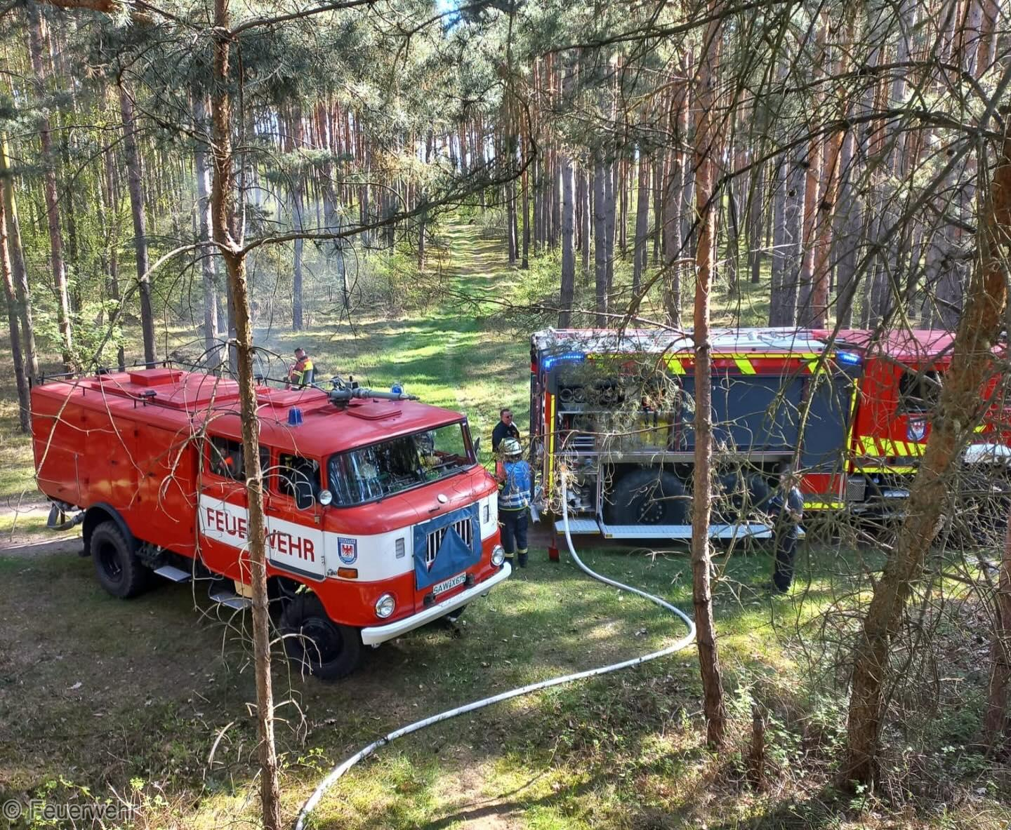 Einsatzfoto Brand A: Vegetation - ...