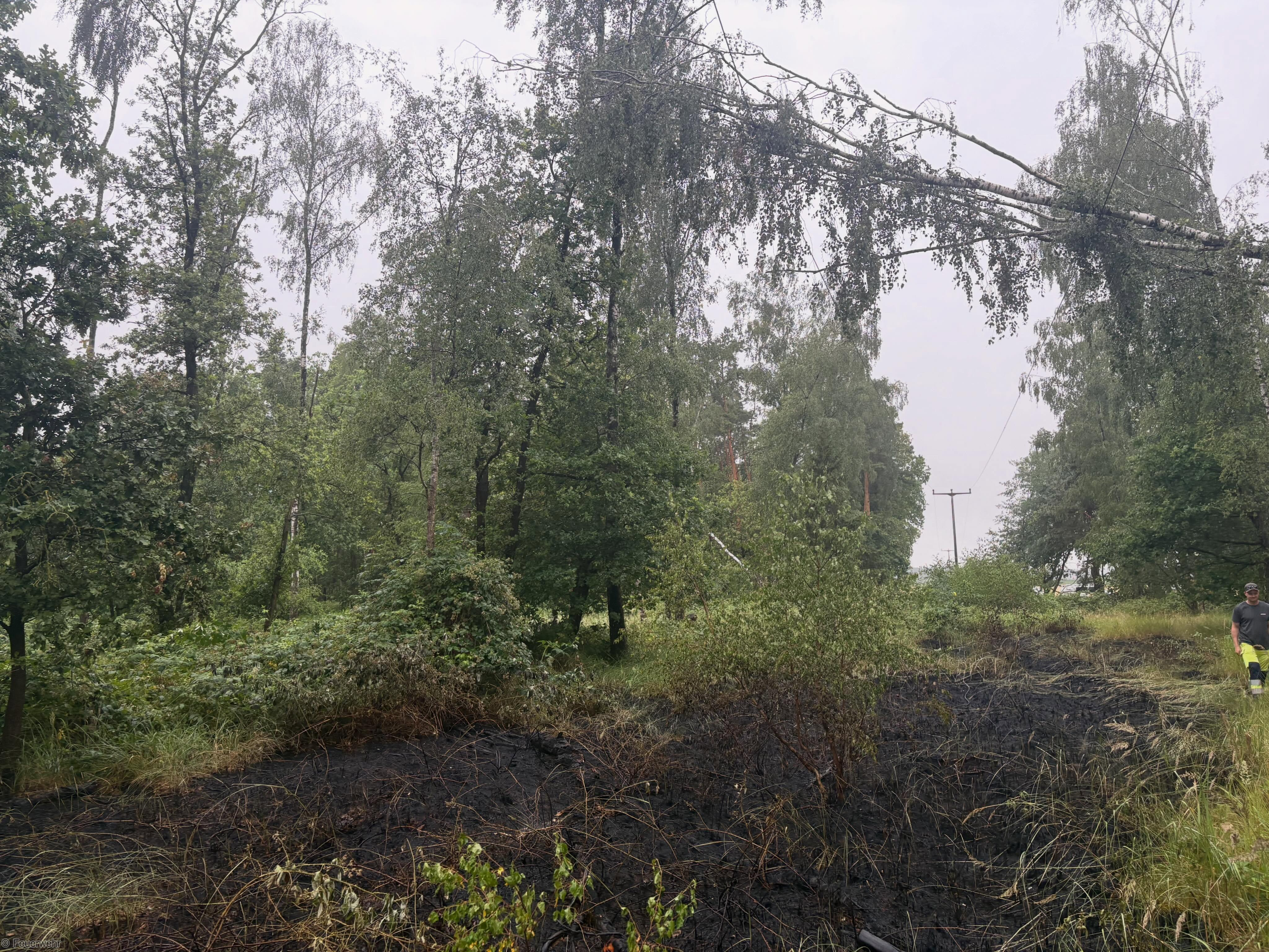 Einsatzfoto Brand B: Vegetationsbrand