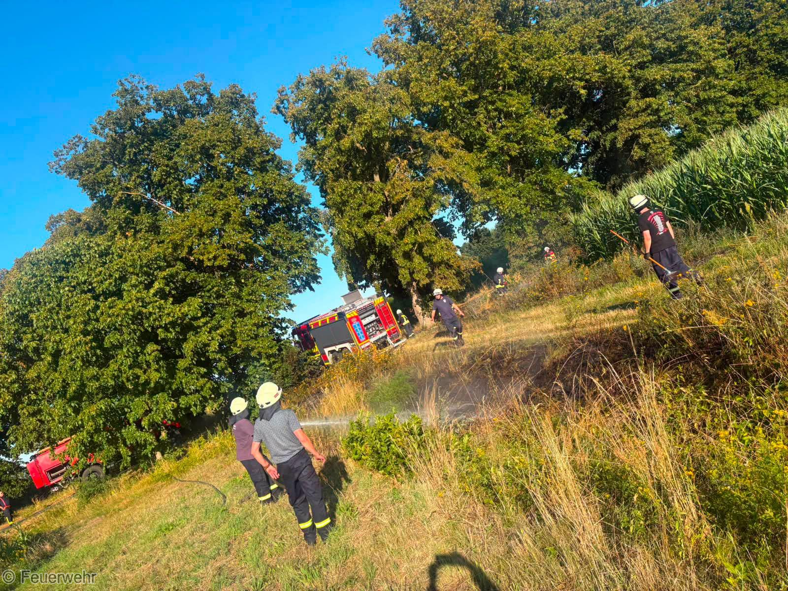 Einsatzfoto Brand A: Vegetationsbrand